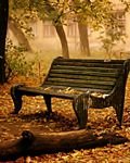 pic for a bench in fall